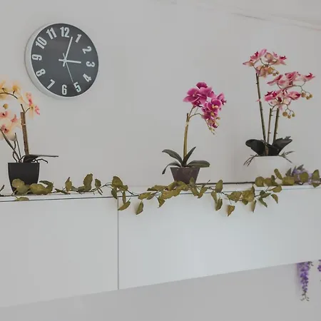 Free Wifi & Netflix Roiano Elegant Trieste