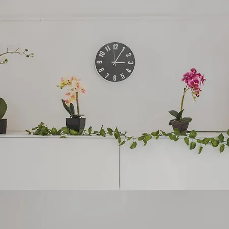 Free Wifi & Netflix Roiano Elegant Apartamento